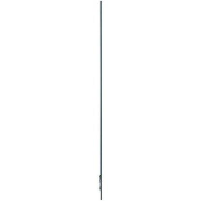 LG Transparent OLED Touch Signage 55EW5TK-A