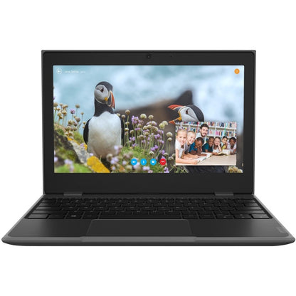 Lenovo 100e Windows 2nd Gen 81M80035US 11.6" Netbook - HD - 1366 x 768 - Intel Celeron N4020 Dual-core (2 Core) 1.10 GHz - 4 GB RAM - 64 GB Flash Memory - Gray 81M80035US