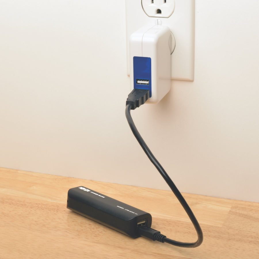 Chargeur de batterie USB portable Tripp Lite by Eaton 2600 mAh UPB-02K6-1U