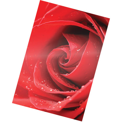 Pochettes de plastification thermique brillantes pour cartes photo Fellowes 5208301