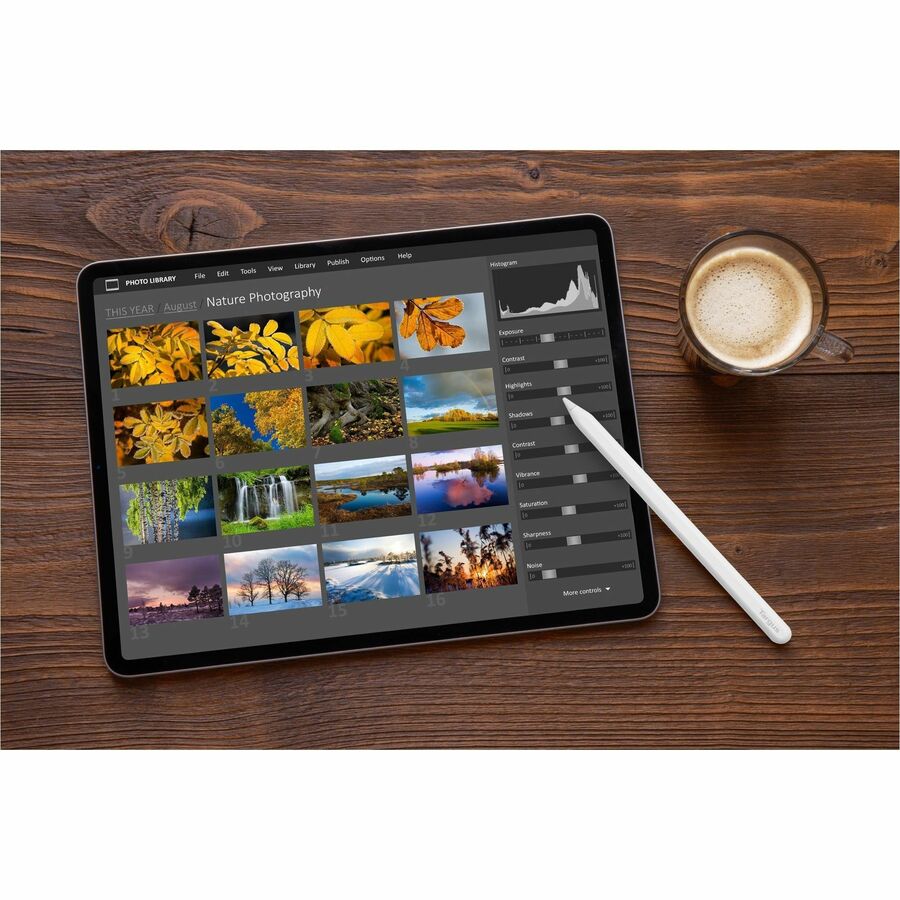 Stylet actif de chargement sans fil Targus pour iPad AMM181GL