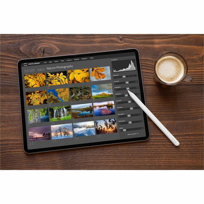 Stylet actif de chargement sans fil Targus pour iPad AMM181GL