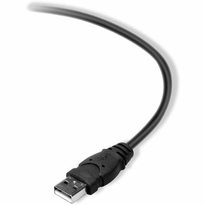 Câble Belkin 2.0 USB-A vers USB-B F3U154bt0.9M