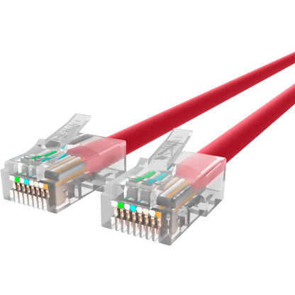 Câble de raccordement Ethernet Belkin CAT6, RJ45, M/M A3L980-25-RED