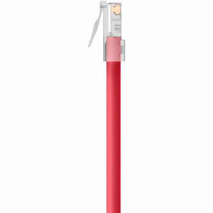 Câble de raccordement Ethernet Belkin CAT6, RJ45, M/M A3L980-25-RED