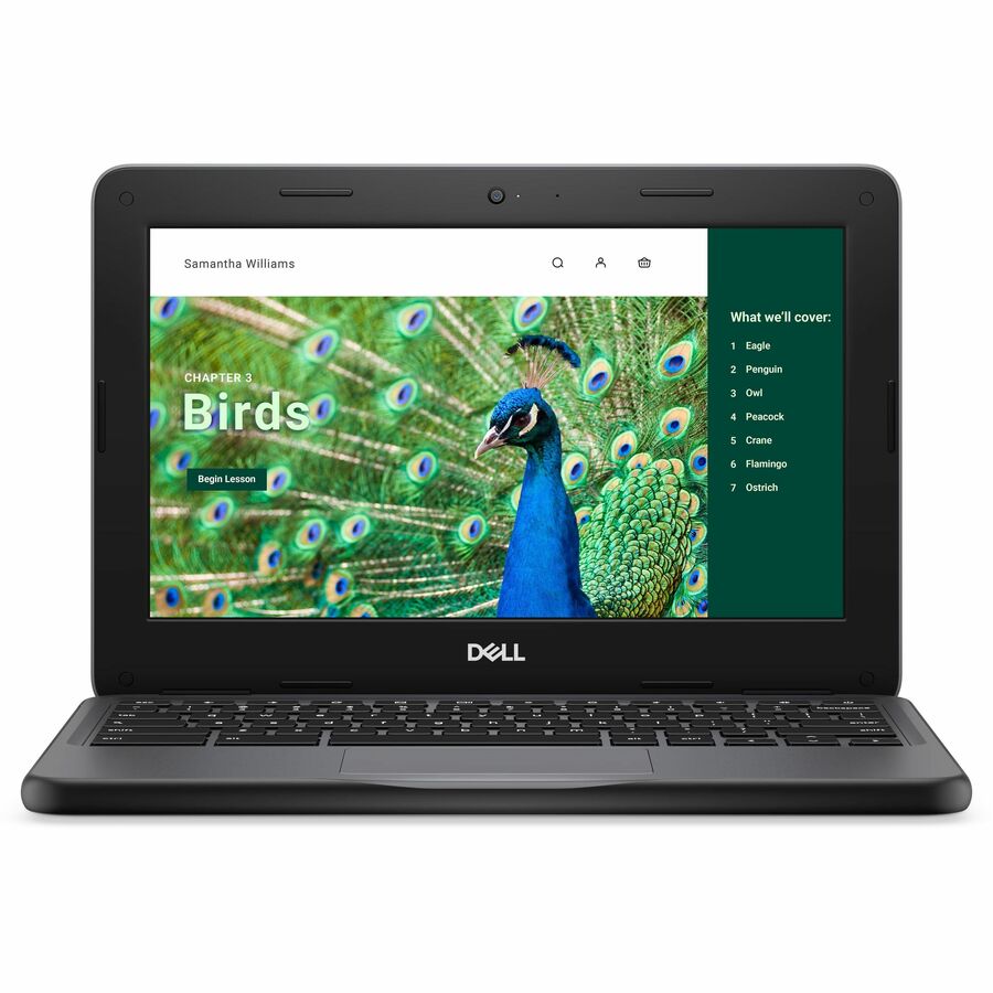 Dell Chromebook 3000 3120 11,6" Écran tactile convertible 2 en 1 Chromebook - HD - Intel N100 - 8 Go - 64 Go de mémoire flash - Clavier anglais (États-Unis) RNFJK