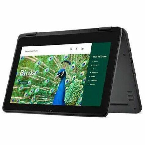 Dell Chromebook 3000 3120 11,6" Écran tactile convertible 2 en 1 Chromebook - HD - Intel N100 - 8 Go - 64 Go de mémoire flash - Clavier anglais (États-Unis) RNFJK