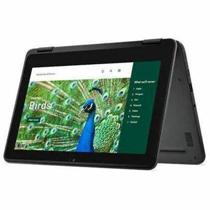 Dell Chromebook 3000 3120 11,6" Écran tactile convertible 2 en 1 Chromebook - HD - Intel N100 - 8 Go - 64 Go de mémoire flash - Clavier anglais (États-Unis) RNFJK