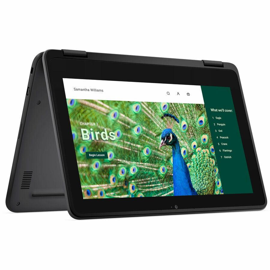 Dell Chromebook 3000 3120 11,6" Écran tactile convertible 2 en 1 Chromebook - HD - Intel N100 - 8 Go - 64 Go de mémoire flash - Clavier anglais (États-Unis) RNFJK