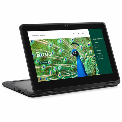 Dell Chromebook 3000 3120 11,6" Écran tactile convertible 2 en 1 Chromebook - HD - Intel N100 - 8 Go - 64 Go de mémoire flash - Clavier anglais (États-Unis) RNFJK