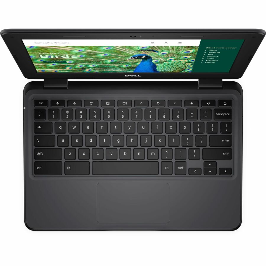 Dell Chromebook 3000 3120 11,6" Écran tactile convertible 2 en 1 Chromebook - HD - Intel N100 - 8 Go - 64 Go de mémoire flash - Clavier anglais (États-Unis) RNFJK