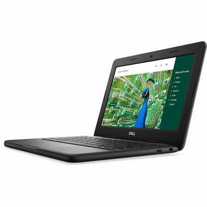 Dell Chromebook 3000 3120 11,6" Écran tactile convertible 2 en 1 Chromebook - HD - Intel N100 - 8 Go - 64 Go de mémoire flash - Clavier anglais (États-Unis) RNFJK