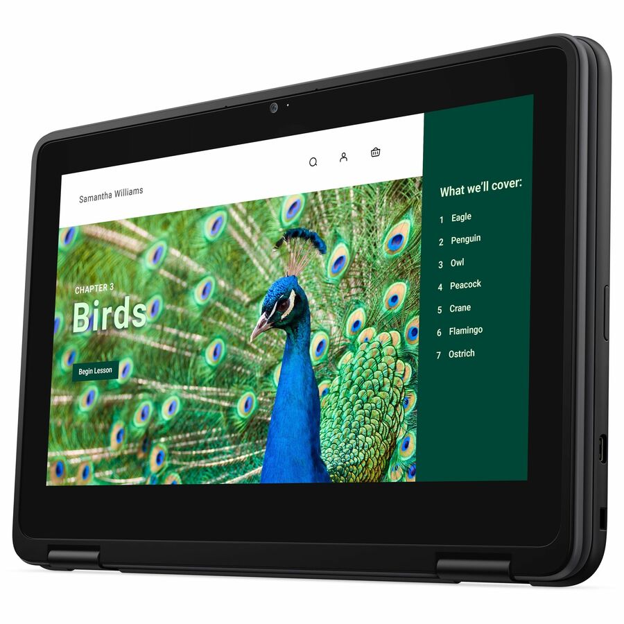 Dell Chromebook 3000 3120 11,6" Écran tactile convertible 2 en 1 Chromebook - HD - Intel N100 - 8 Go - 64 Go de mémoire flash - Clavier anglais (États-Unis) RNFJK