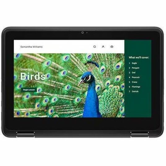 Dell Chromebook 3000 3120 11,6" Écran tactile convertible 2 en 1 Chromebook - HD - Intel N100 - 8 Go - 64 Go de mémoire flash - Clavier anglais (États-Unis) RNFJK