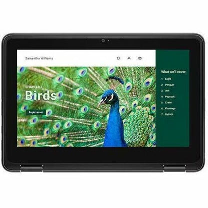 Dell Chromebook 3000 3120 11,6" Écran tactile convertible 2 en 1 Chromebook - HD - Intel N100 - 8 Go - 64 Go de mémoire flash - Clavier anglais (États-Unis) RNFJK