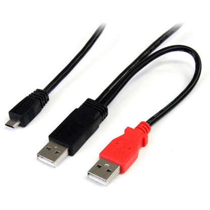 Câble USB en Y de 30 cm pour disque dur externe - Double USB A vers Micro B USB2HAUBY1