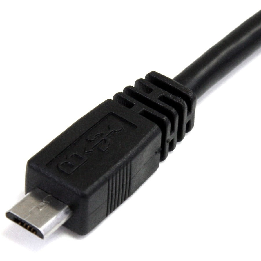 Câble USB en Y de 30 cm pour disque dur externe - Double USB A vers Micro B USB2HAUBY1