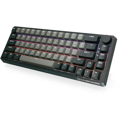 Clavier USB/sans fil IOGEAR MECHLITE NANO GKB610R