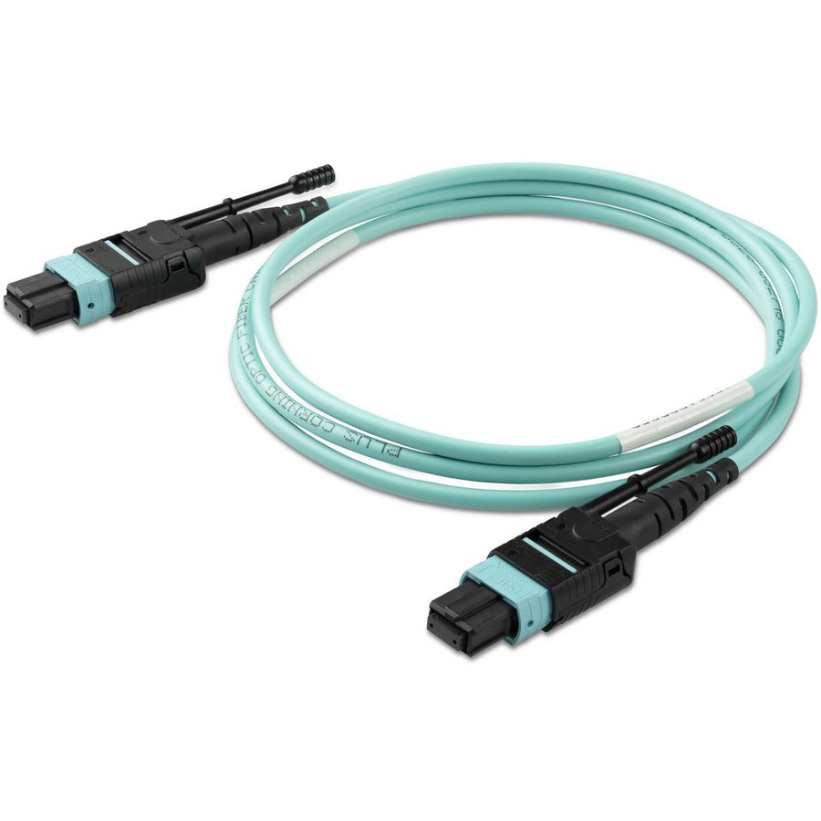 Câble à fibre optique multimode MTP(F)/PC OM3 de 1 m (3 pi), OFNP Plenum, 50/125 µm, 40G, faible perte d'insertion, cordon de raccordement à fibre optique MPO12PL1M