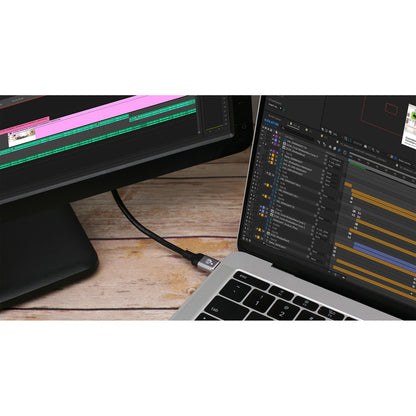 Câble USB-C vers DisplayPort 8K IOGEAR, 2 m (6,6 pi) G2LU3CDP22