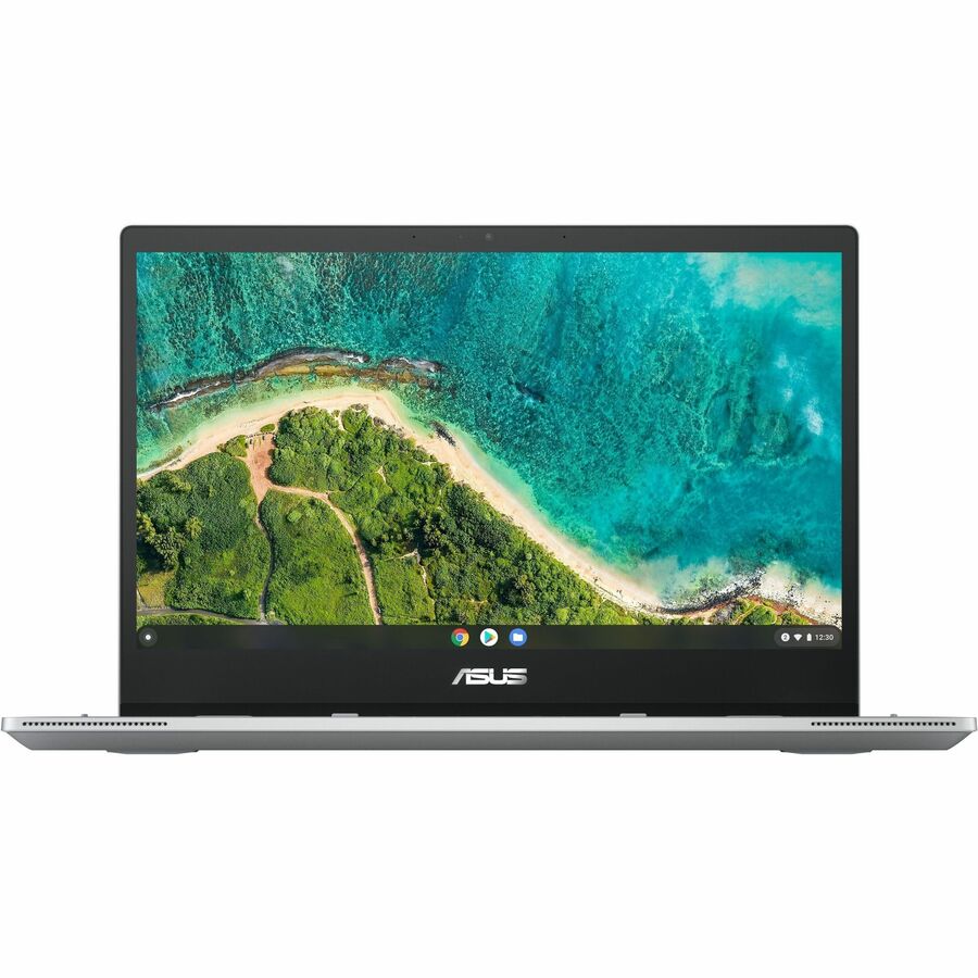 Asus Chromebook Flip CM1 CM1400FXA-DH01T-CA Chromebook 2 en 1 convertible tactile 14" - Full HD - AMD 3015Ce - 4 Go - Mémoire flash 64 Go - Argent transparent CM1400FXA-DH01T-CA