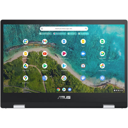 Asus Chromebook Flip CM1 CM1400FXA-DH01T-CA Chromebook 2 en 1 convertible tactile 14" - Full HD - AMD 3015Ce - 4 Go - Mémoire flash 64 Go - Argent transparent CM1400FXA-DH01T-CA