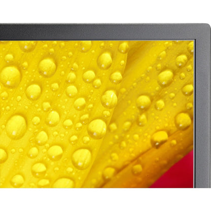Écran commercial ultra haute définition Sharp NEC Display 65" ME651