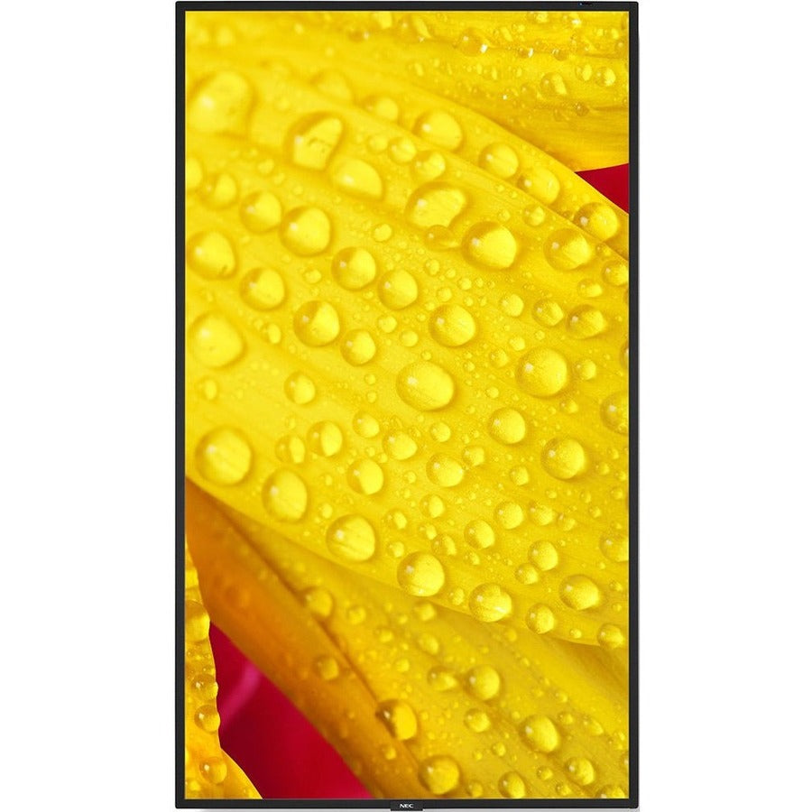 Écran commercial ultra haute définition Sharp NEC Display 65" ME651