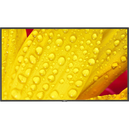 Écran commercial ultra haute définition Sharp NEC Display 65" ME651