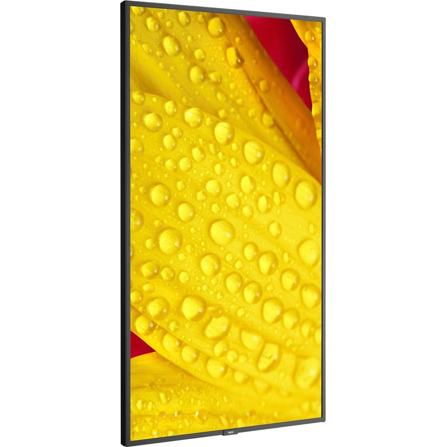 Écran commercial ultra haute définition Sharp NEC Display 65" ME651