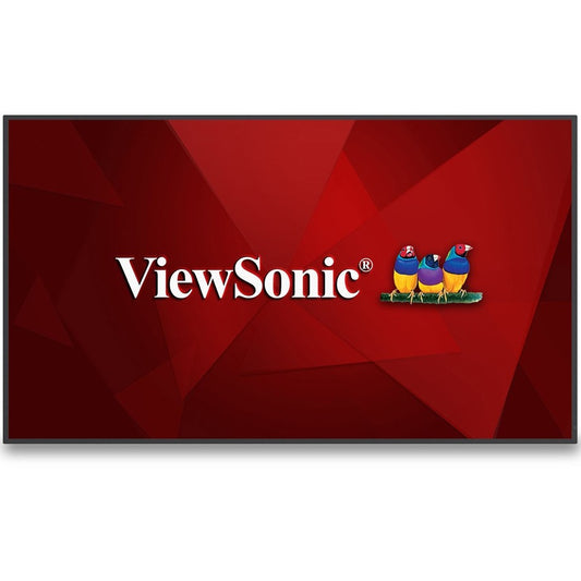 Écran de présentation sans fil ViewSonic CDE6530 CDE6530