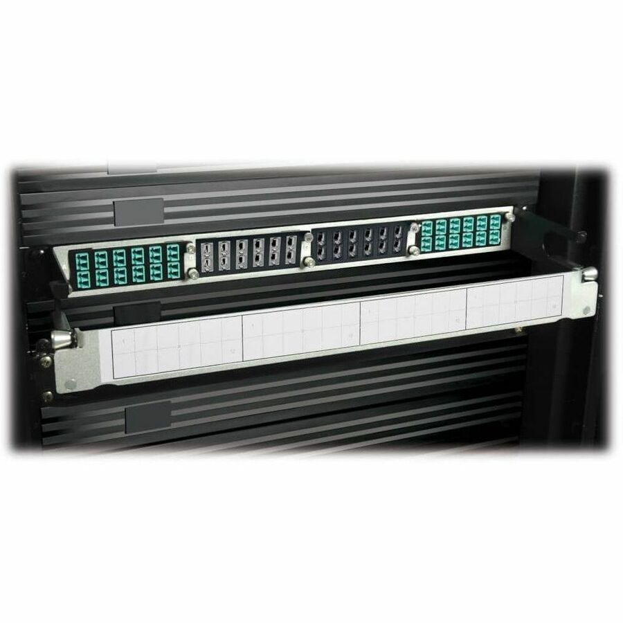 Tripp Lite 100Gb / 120Gb Pass-Through Cassette 12 24-Fiber MTP / MPO N484-12M24