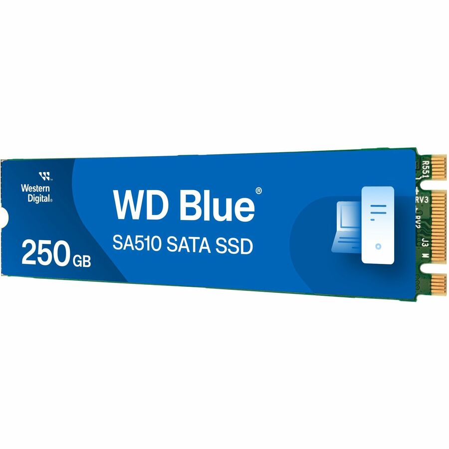 Disque SSD WD Blue SA510 WDS250G3B0B 250 Go - M.2 2280 interne - SATA (SATA/600) WDS250G3B0B