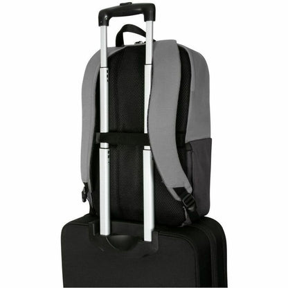 Sacoche de transport (sac à dos) Targus Sagano EcoSmart TBB634GL pour ordinateur portable de 15,6" à 16" - Gris TBB634GL