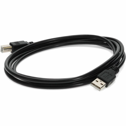 Lot de 5 câbles USB mâle vers femelle de 3,05 m (10,00 pi) AddOn USBEXTAB10-5PK noir