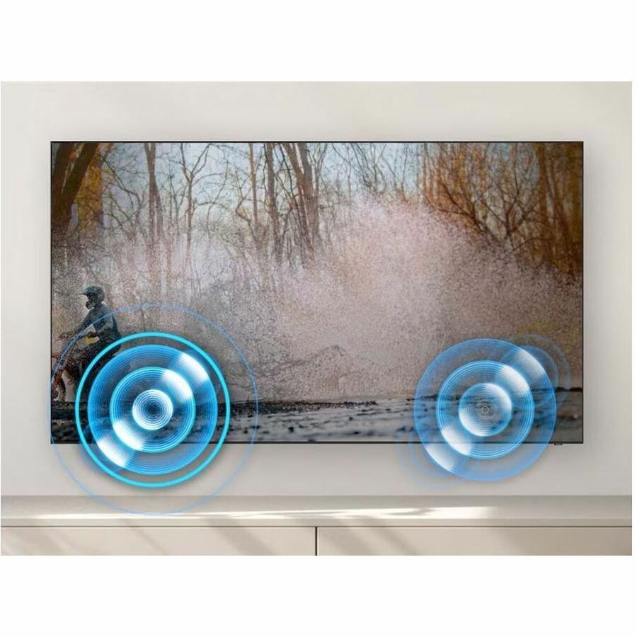 Samsung BEC-H BE65C-H 65" Smart LED-LCD TV 2023 - 4K UHDTV - Titan Gray LH65BECHLGFXZC