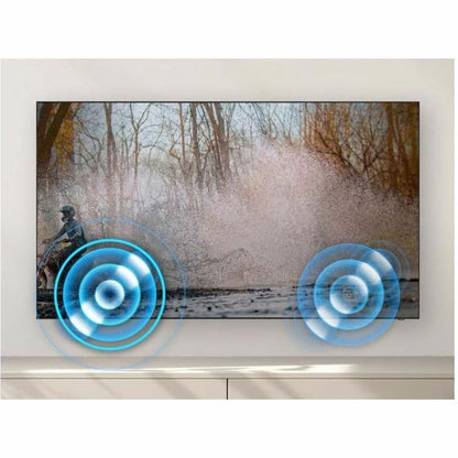 Samsung BEC-H BE65C-H 65" Smart LED-LCD TV 2023 - 4K UHDTV - Titan Gray LH65BECHLGFXZC