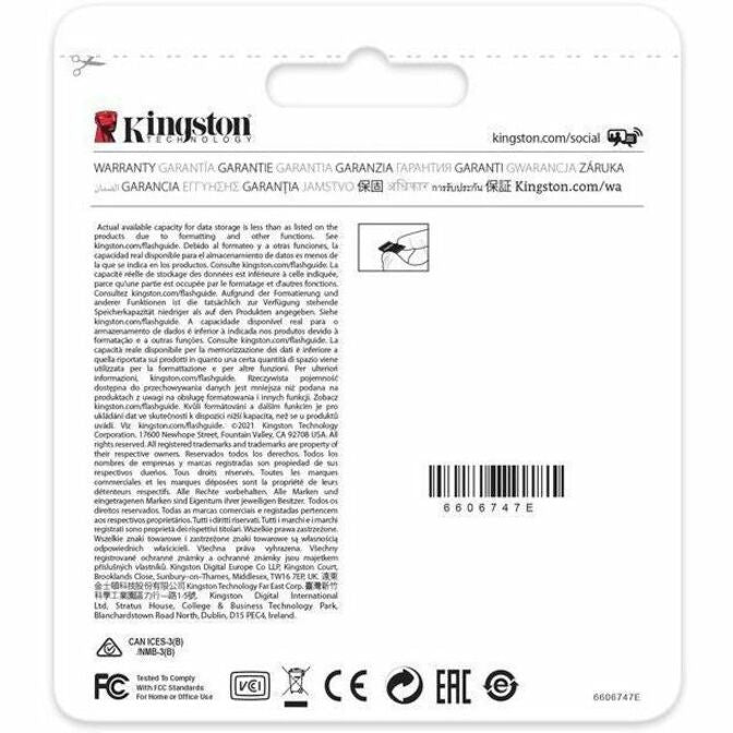 Kingston Endurance 256 Go Classe 10/UHS-I microSDXC SDCE/256GBCR