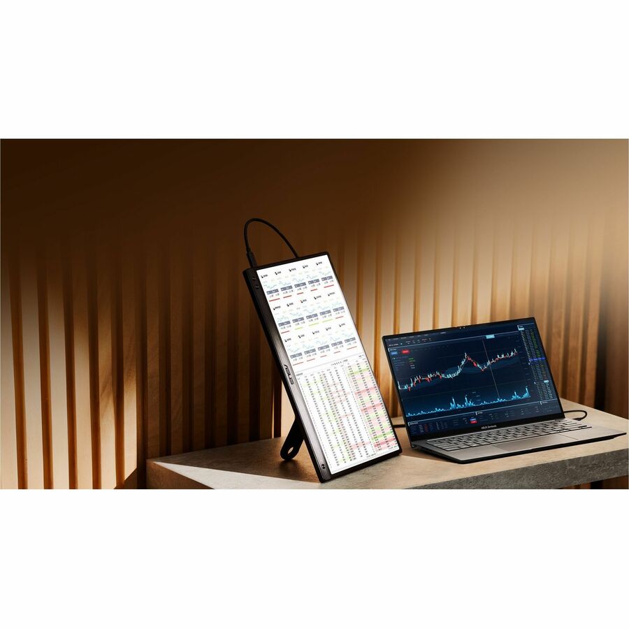 Asus ZenScreen MB166CR 16" Class Full HD LED Monitor - 16:9 MB166CR