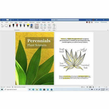 Microsoft 365 Business Standard FPP - Produit complet - 1 utilisateur, 5 appareils - 1 an KLQ-00659