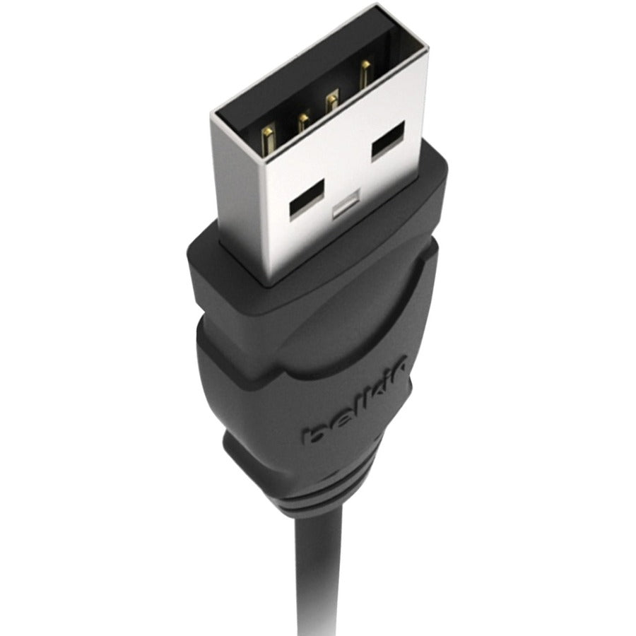 Câble USB Belkin F3U133B10