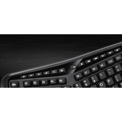 Adesso Desktop Ergonomic Keyboard AKB-150UB