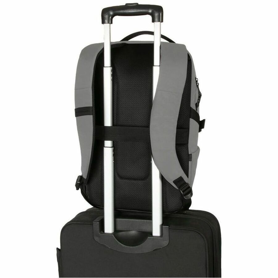 Sacoche de transport (sac à dos) Targus Terra EcoSmart TBB64904GL pour ordinateur portable de 15" à 16" - Gris - Conforme TAA TBB64904GL