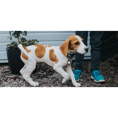 Belkin Secure Holder with Key Ring for AirTag F8W973BTBLK