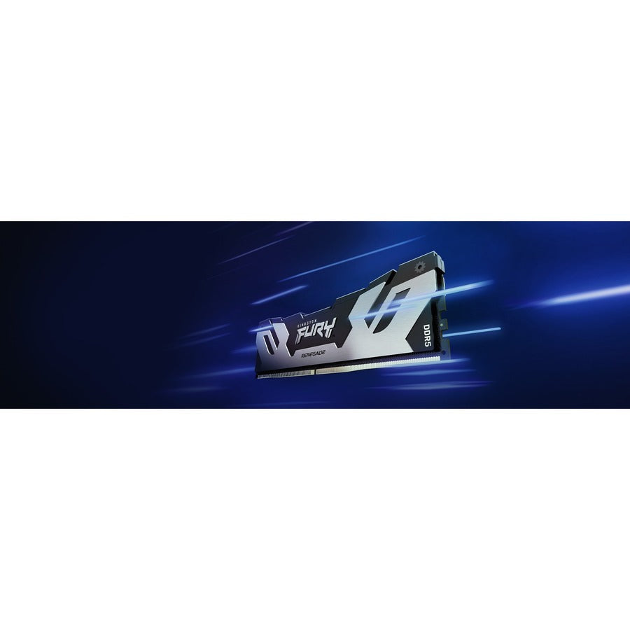 Module de mémoire DDR5 SDRAM Kingston FURY Renegade 16 Go KF560C32RS-16