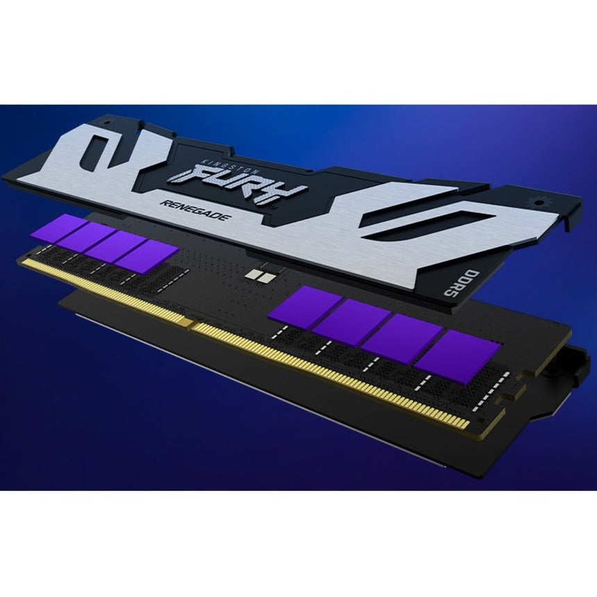 Module de mémoire DDR5 SDRAM Kingston FURY Renegade 16 Go KF560C32RS-16