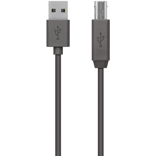 Câble de transfert de données USB Belkin F3U154bt3M