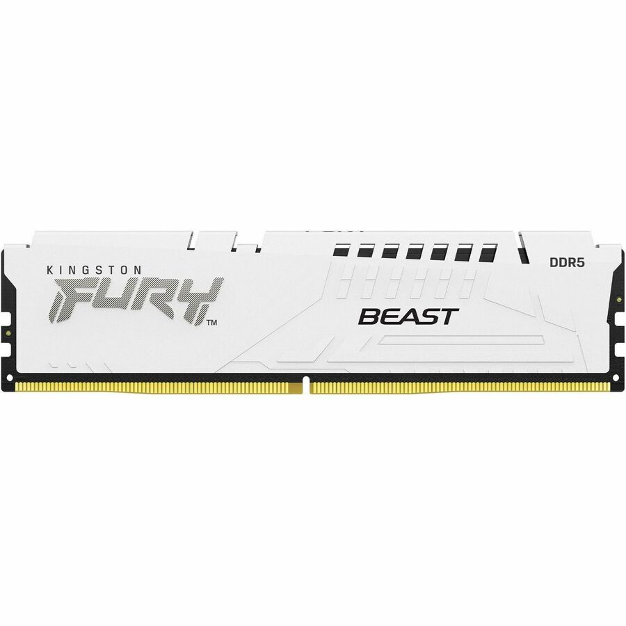 Module de mémoire DDR5 SDRAM Kingston FURY Beast 16 Go KF560C30BWE-16