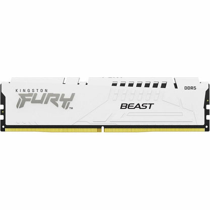 Module de mémoire DDR5 SDRAM Kingston FURY Beast 16 Go KF560C30BWE-16