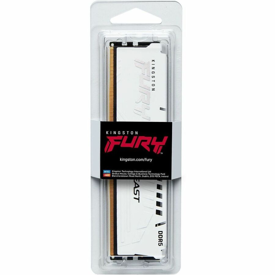 Module de mémoire DDR5 SDRAM Kingston FURY Beast 16 Go KF560C30BWE-16